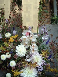 1785.jpg 190��253 28K