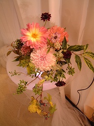 DSCF1663_hp.jpg 190��253 26K