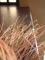 DSCF1711_hp.jpg 190��253 28K