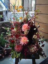 DSCF1797_hp.jpg 190��253 28K