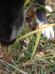 DSCF1835_hp.jpg 190��253 28K