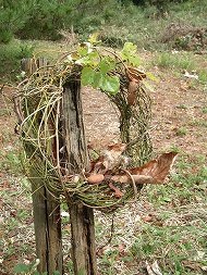 DSCF1848_hp.jpg 190��253 28K