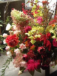 DSCF1885_hp.jpg 190��253 28K