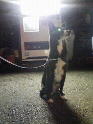 grp1020204533.jpg 190��253 26K